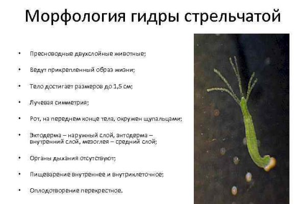 Кракен площадка вход