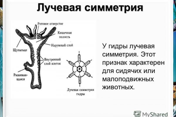 Ссылка на кракен официальный