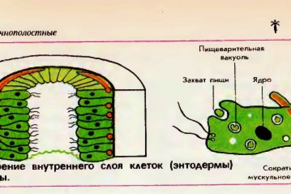Кракен ссылка на тор