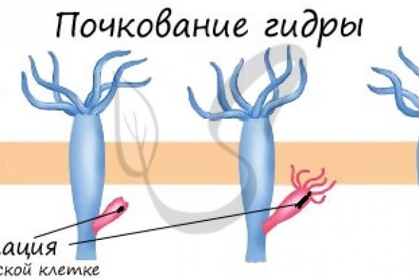 Сайт тор кракен